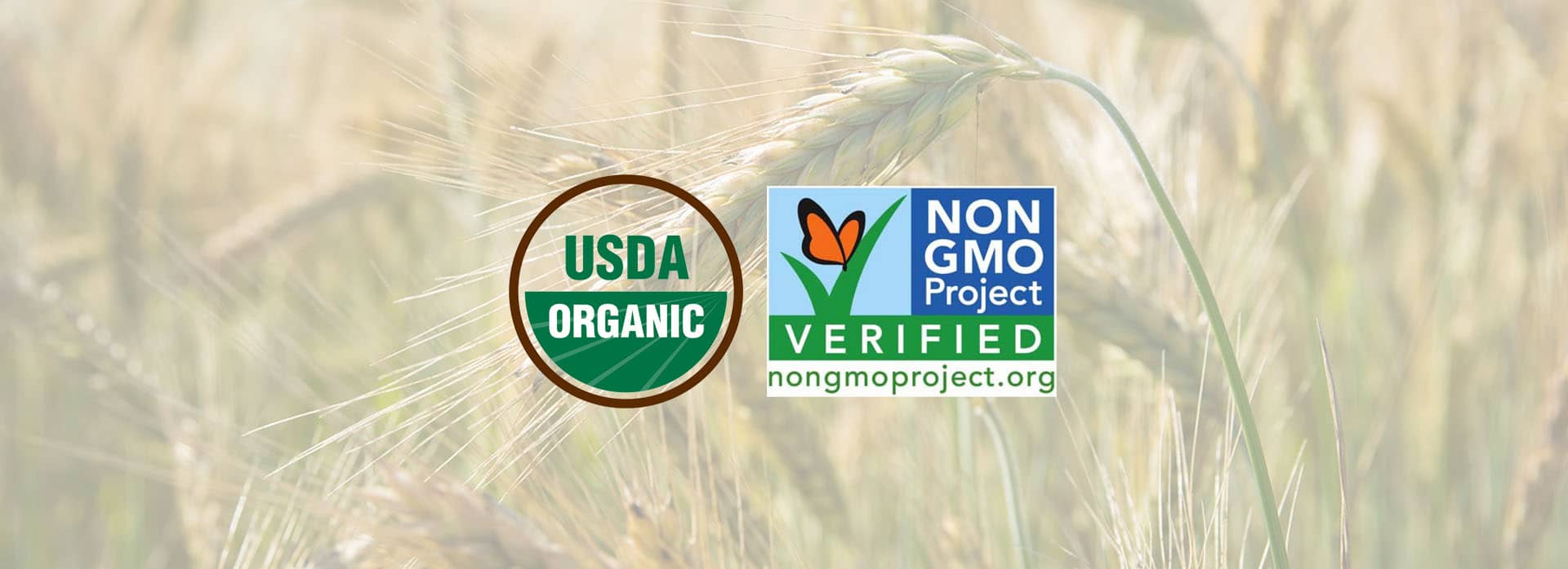 Nurturing Nature #39 s Bounty: The Journey to USDA Certified Organic and